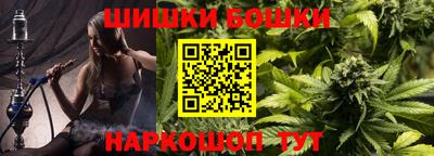 индика Кулебаки